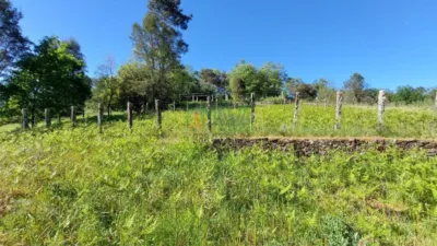 House in Castrelo de Miño photo 18