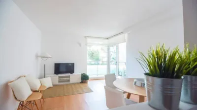 Apartment in Calvià photo 4