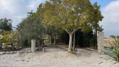 House in Agost photo 4
