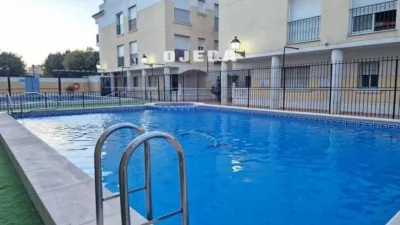 Apartment in Formentera del Segura photo 34