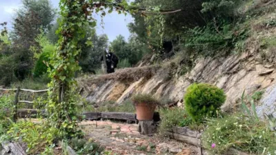 Rustic house in La Vall de Bianya photo 15