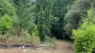 Rustic house in La Vall de Bianya photo 22