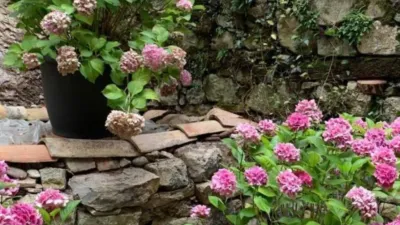 Rustic house in La Vall de Bianya photo 23