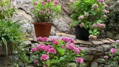 Rustic house in La Vall de Bianya photo 25