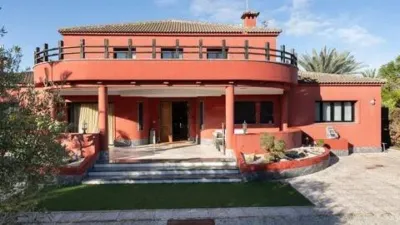 Pis – Elche, la Baia - Vista 2