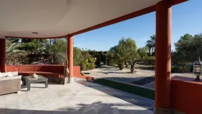 Pis – Elche, la Baia - Més