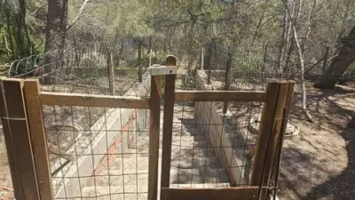 Chalet in Pinar de Campoverde photo 23