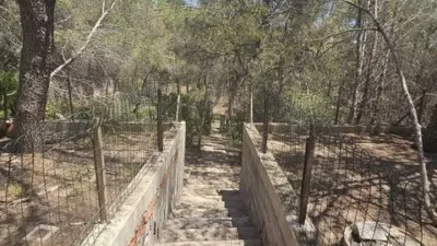 Chalet in Pinar de Campoverde photo 24