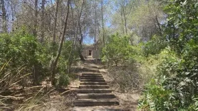 Chalet in Pinar de Campoverde photo 25