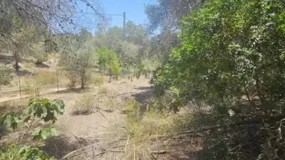 Chalet in Pinar de Campoverde photo 26