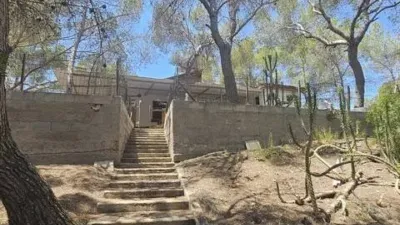 Chalet in Pinar de Campoverde photo 27