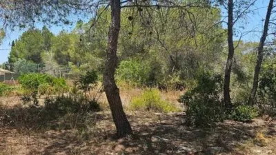 Chalet in Pinar de Campoverde photo 32