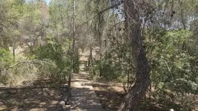 Chalet in Pinar de Campoverde photo 34
