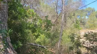 Chalet in Pinar de Campoverde photo 35