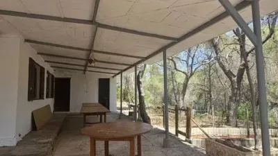 Chalet in Pinar de Campoverde photo 7