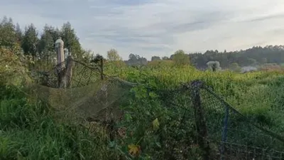 Terreno en venta en Bergondo - Vista 2