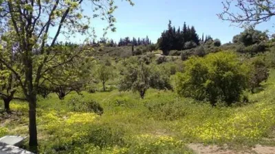 Rustic House in Altos de Estepona photo 22