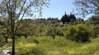 Rustic House in Altos de Estepona photo 23
