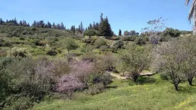 Rustic House in Altos de Estepona photo 25