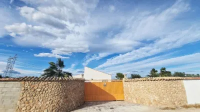 Pis – Elx / Elche, la Foia - Vista 2
