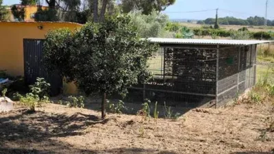 Casa rústica en venta en Gibraleón, Gibraleón de 259.000 €