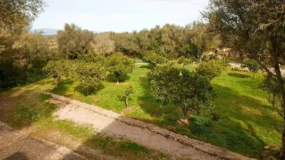 Rustic property in Algaida photo 46