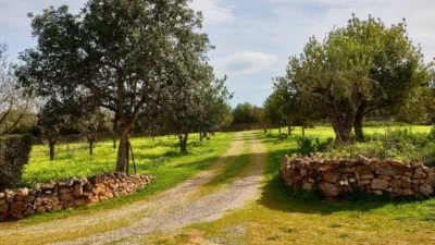 Rustic property in Algaida photo 47