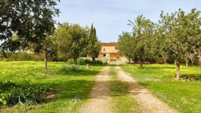 Rustic property in Algaida photo 52