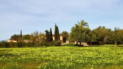 Rustic property in Algaida photo 54