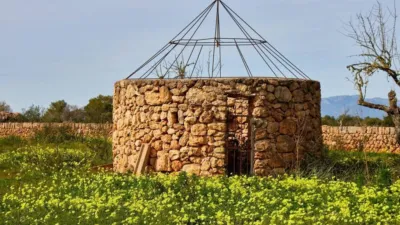 Rustic property in Algaida photo 56