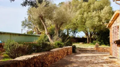 Rustic property in Algaida photo 68