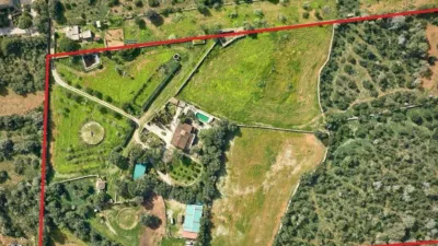 Rustic property in Algaida photo 82