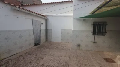 Miniatura 12