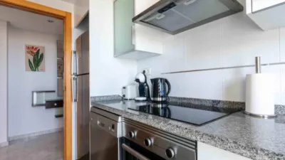Apartment in Racó de l'Oix photo 12