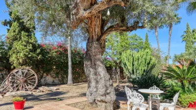 Casa en La Alquería-Torrealquería photo 16