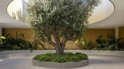 Apartment in Benidorm photo 35