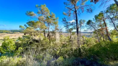 Rustic Finca in Sineu photo 10