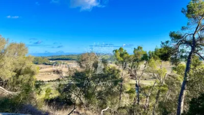 Rustic Finca in Sineu photo 11