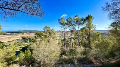 Rustic Finca in Sineu photo 12