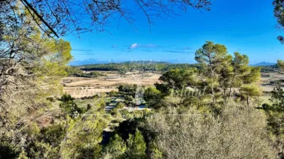 Rustic Finca in Sineu photo 13