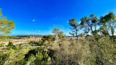Rustic Finca in Sineu photo 14