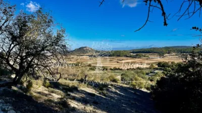 Rustic Finca in Sineu photo 15