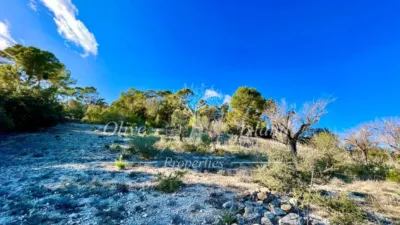 Rustic Finca in Sineu photo 16