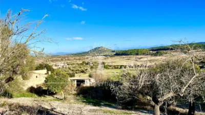 Rustic Finca in Sineu photo 17