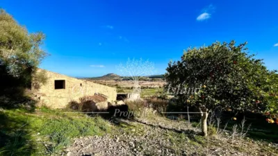 Rustic Finca in Sineu photo 18