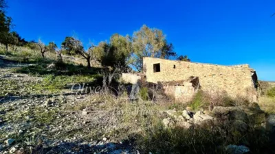 Rustic Finca in Sineu photo 20