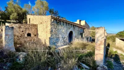 Rustic Finca in Sineu photo 2