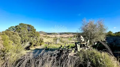 Rustic Finca in Sineu photo 31