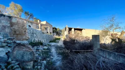 Rustic Finca in Sineu photo 32