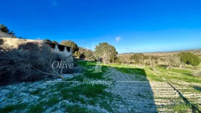 Rustic Finca in Sineu photo 33